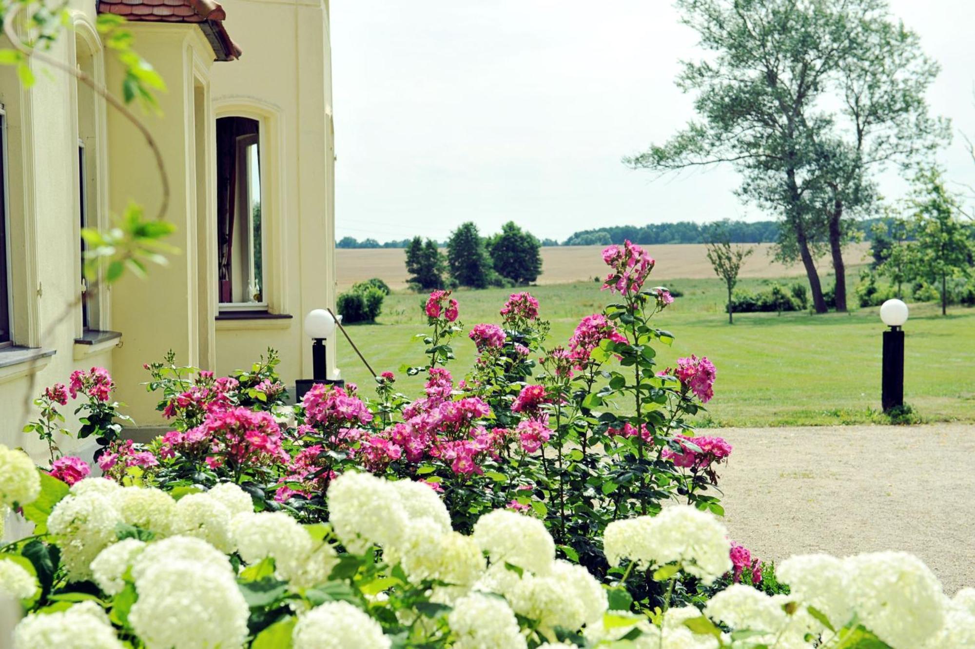 Gutshaus Penzlin Villa Meyenburg  Eksteriør bilde